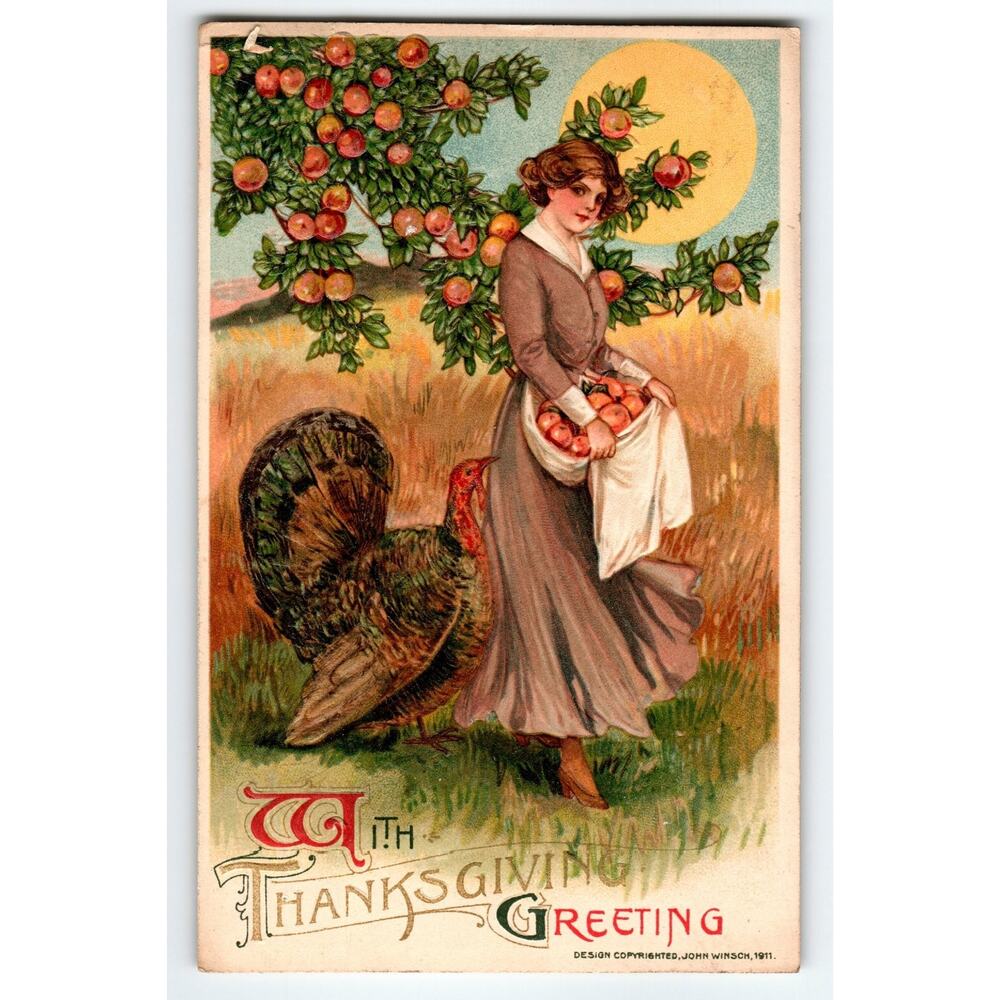 Samuel Schmucker John Winsch 1911 Thanksgiving Postcard Woman Apples & Turkey